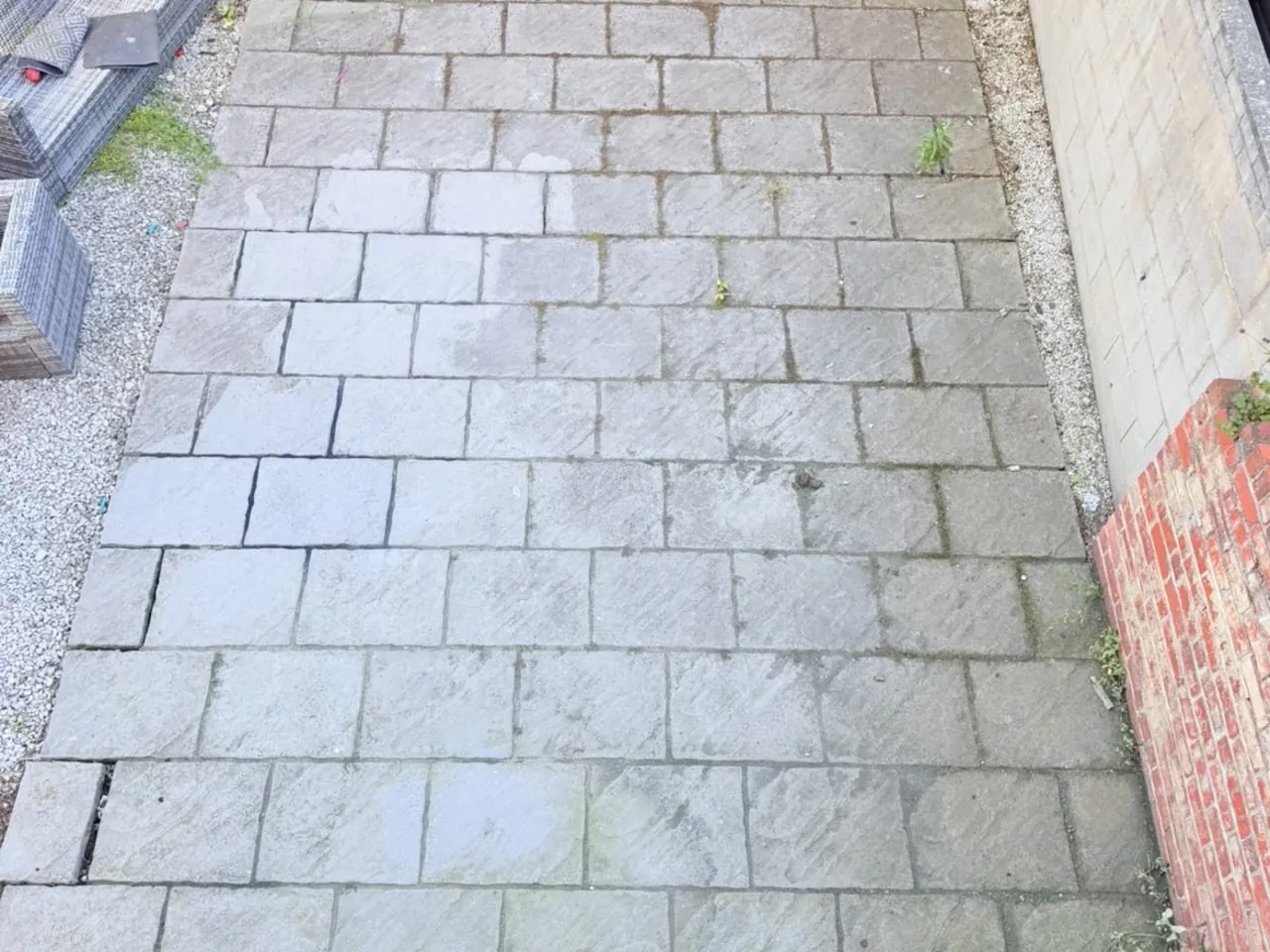 A rear garden patio with green algae across the grey slabs and weeds growing through the joints.